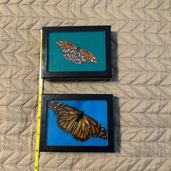 Butterfly Shadow Box Set - Picture 2 of 4